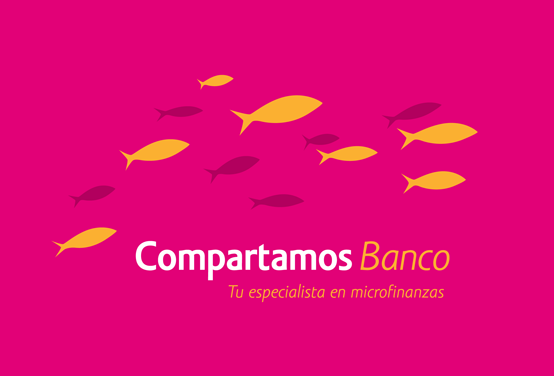 Compartamos Talks about Dysfunction in Microfinance