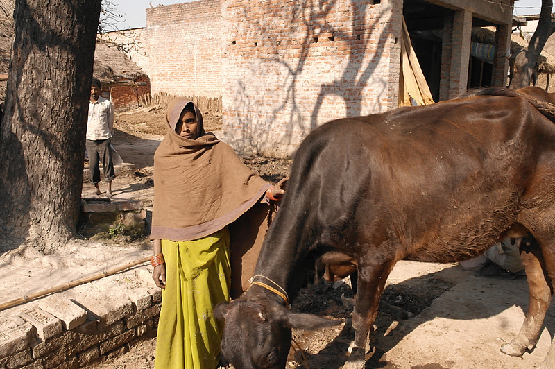 Social Entrepreneur Creates Dairy Jobs Where No One Else Dares to Go