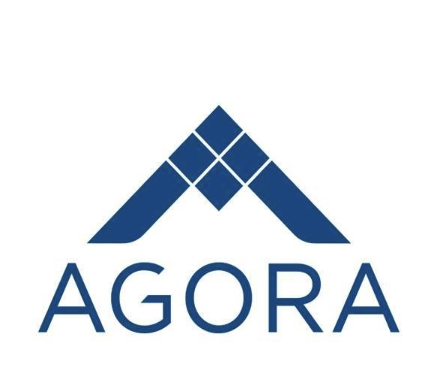 Agora Partnerships