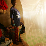 Freedom from Hunger Wants Freedom from Malaria–And You Can Help