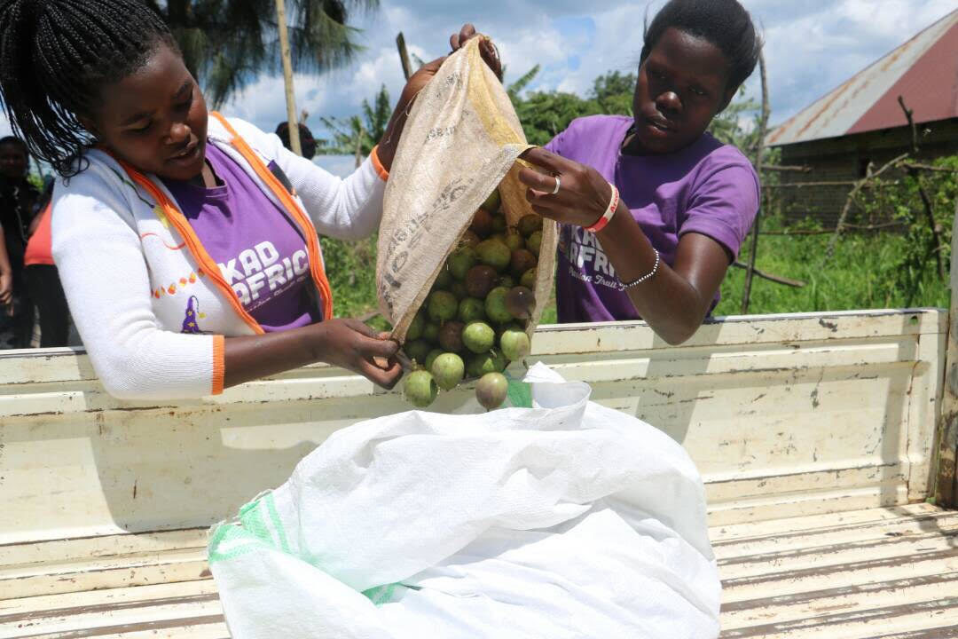 KadAfrica: Empowering Girls Through Passion Fruit