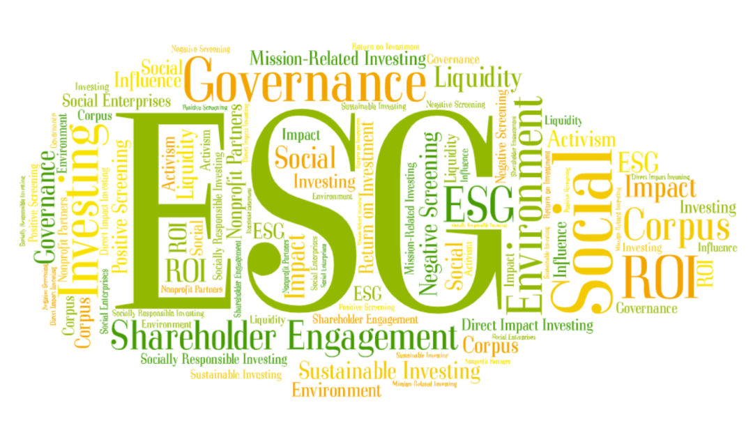 ESG Investing: Making the Most of Your Foundation’s Assets