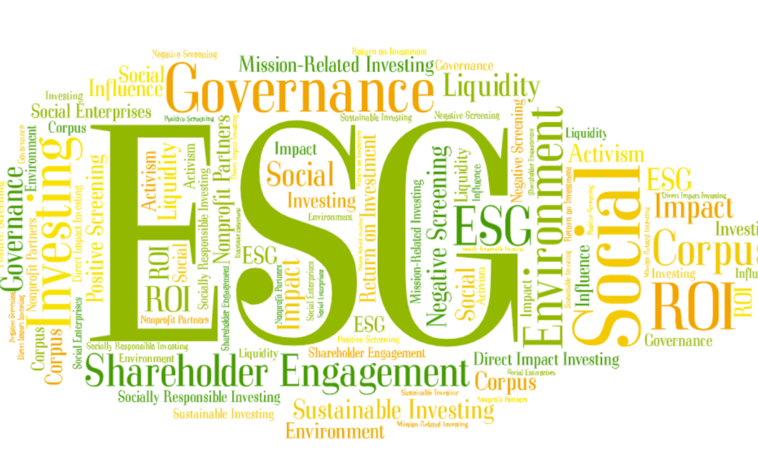 ESG Investing: Making the Most of Your Foundation’s Assets